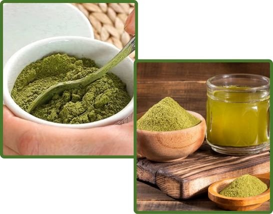 uses-of-moringa_leaf_powder