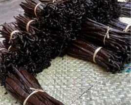 buy-vanilla-caviar-online